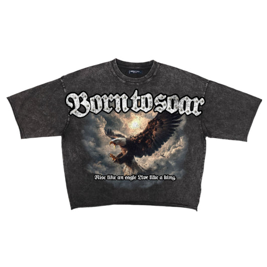 ROKU STUDIO Enzyme Washed Born To Soar Cropped Tee
