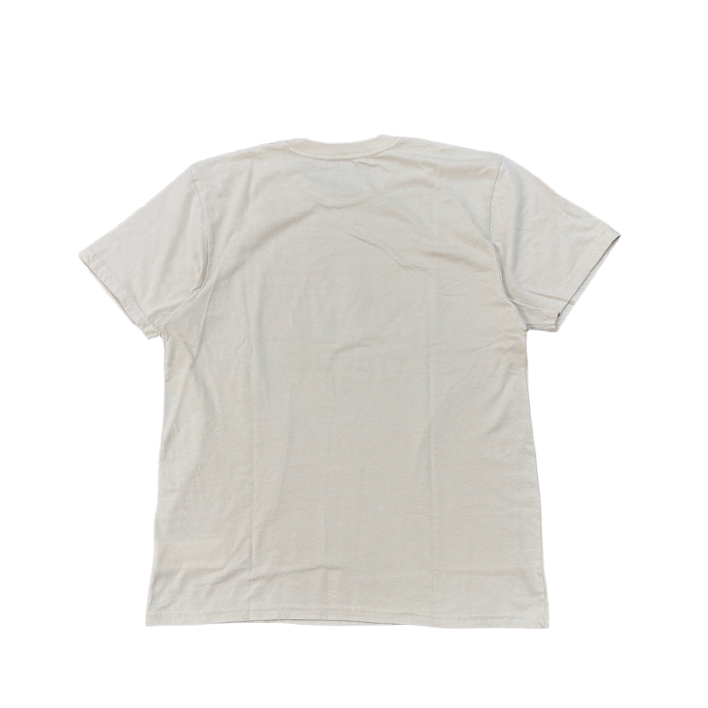 BRIXTON Collins Standard T-shirt