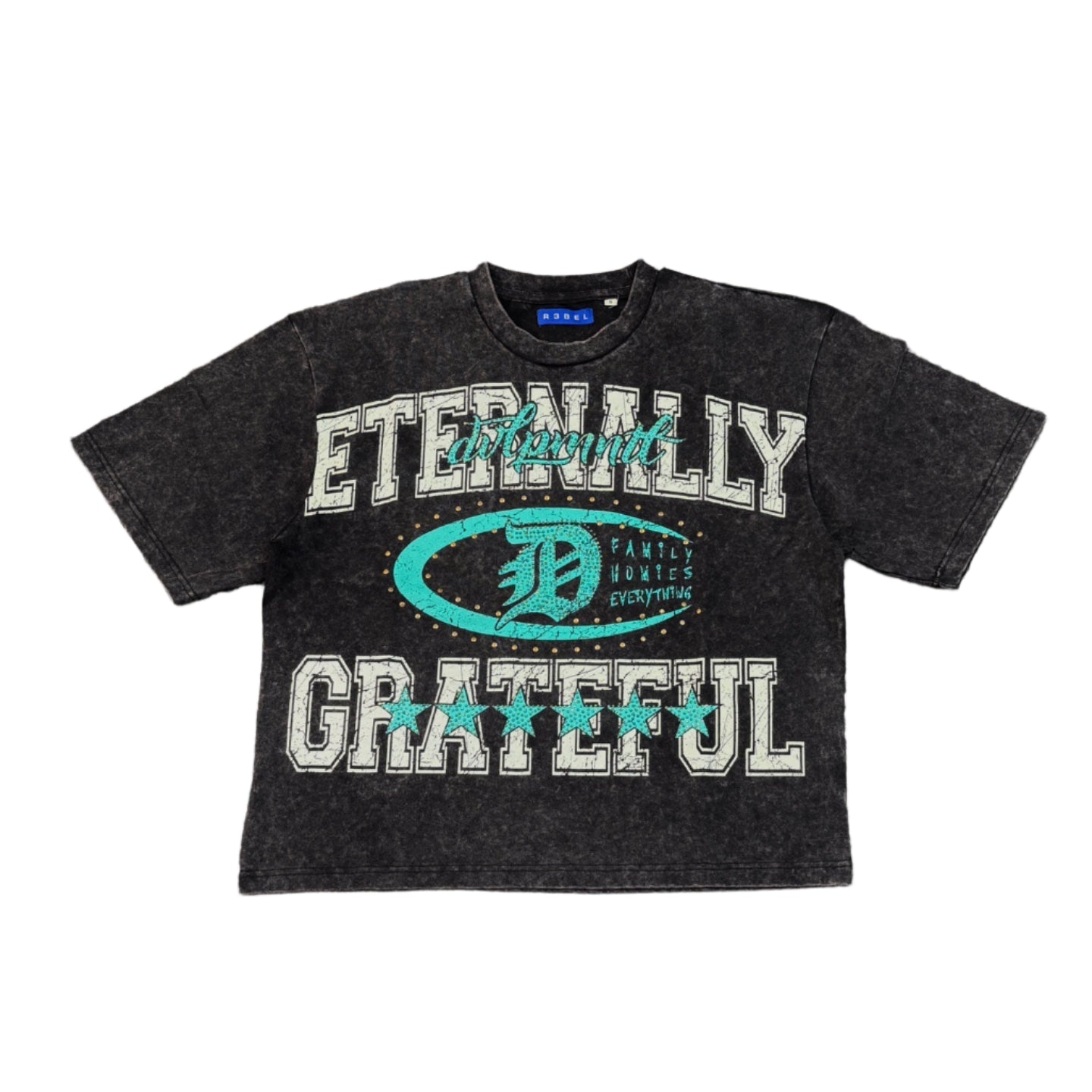 R3BEL Eternally Grateful Graphic Crop Tee