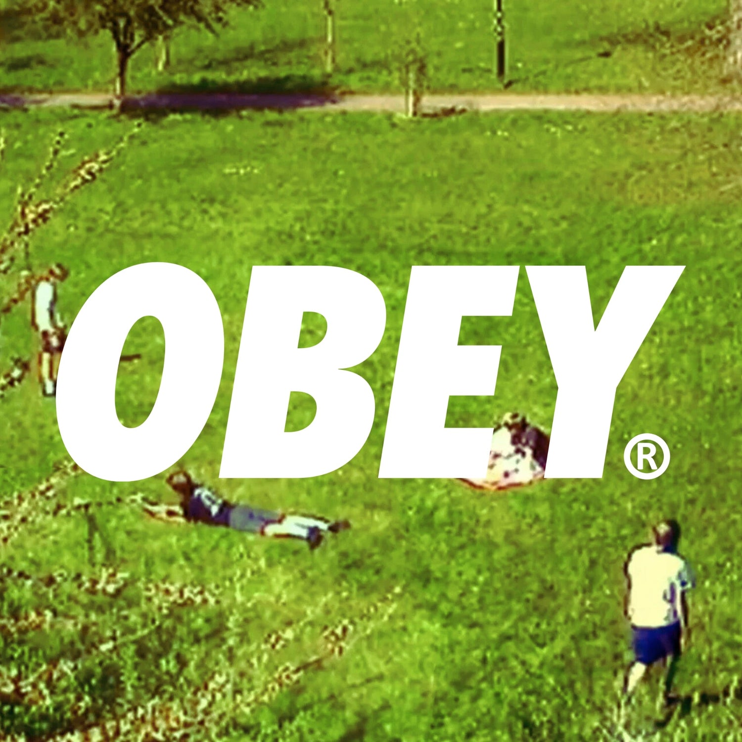 Obey
