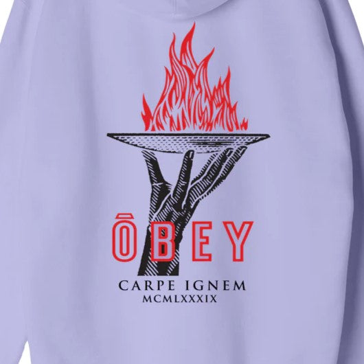 OBEY Seize Fire Box Fit Pullover Hood