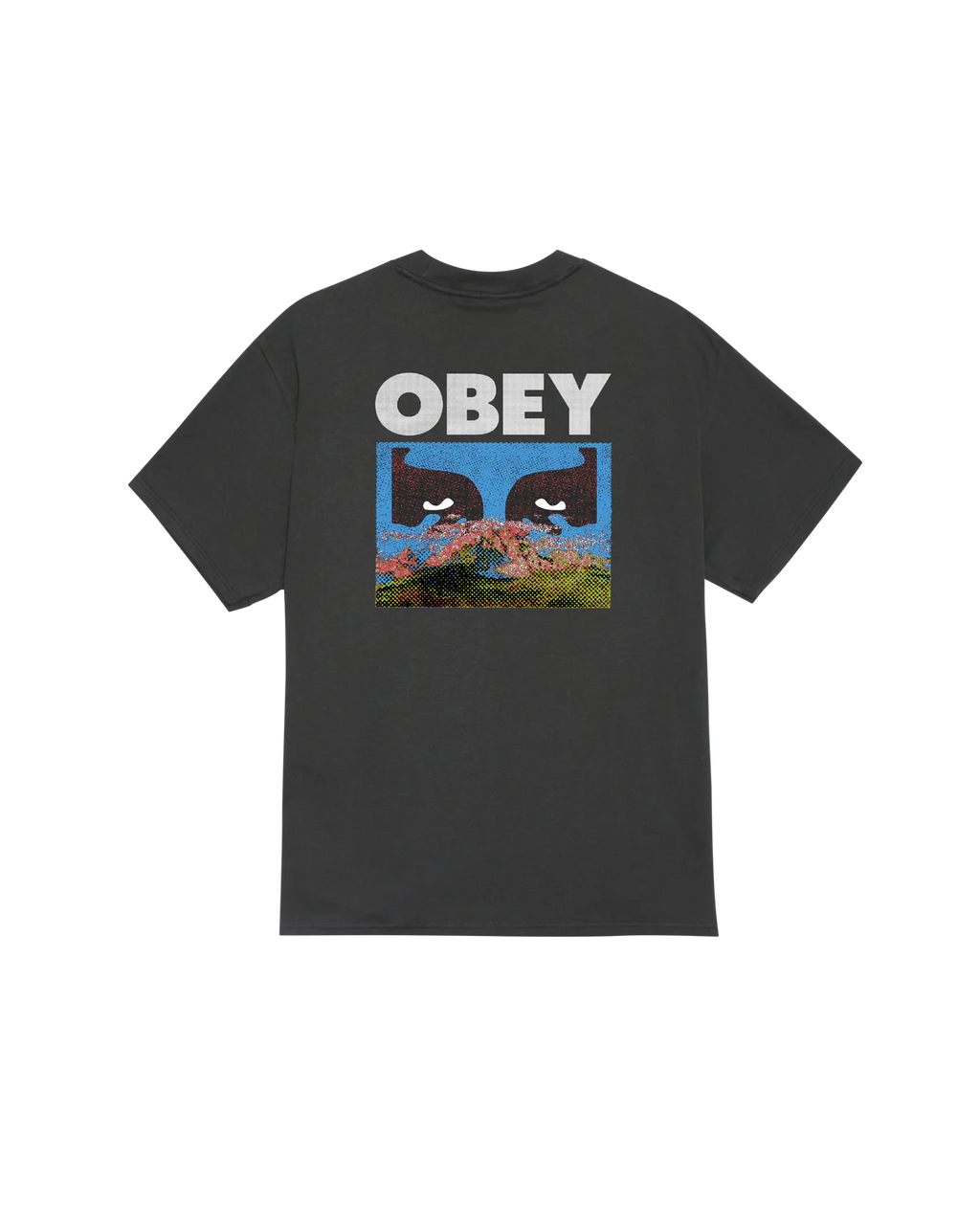 OBEY In A Different Place Classic T-shirt