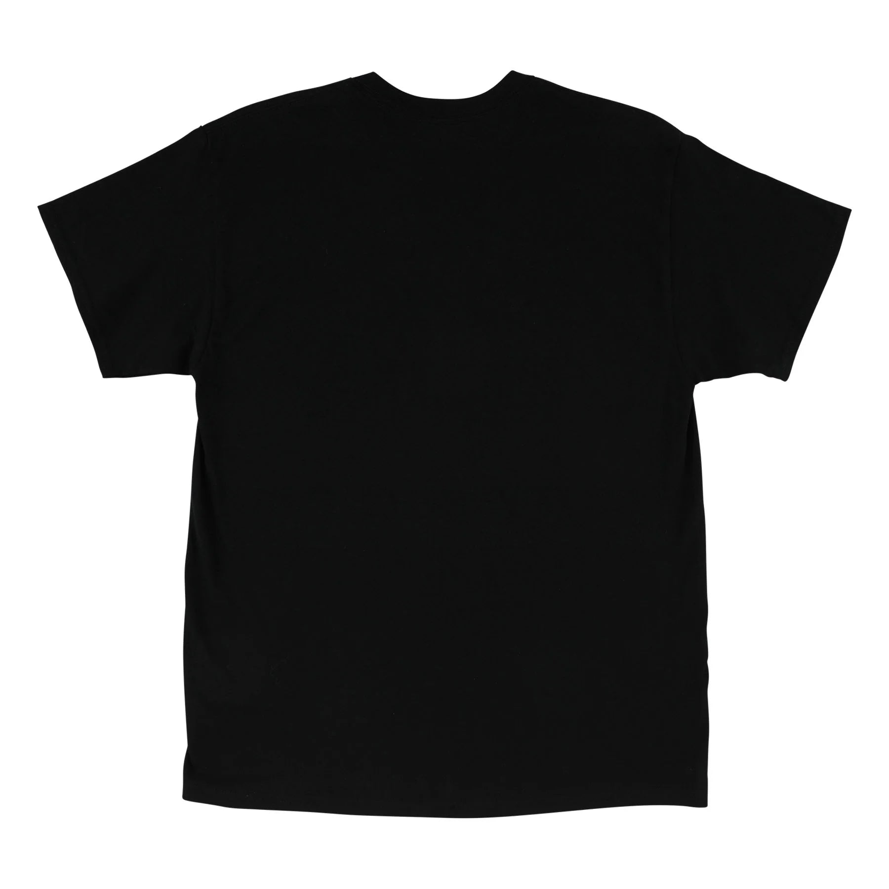 SANTA CRUZ Strip Embroidered S/S Heavyweight T