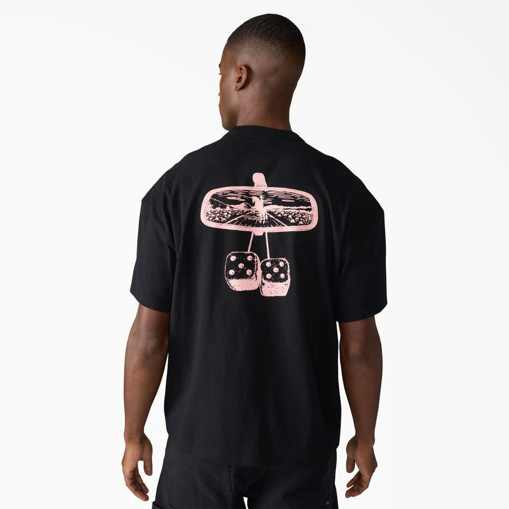 DICKEIS Dice Backhit S/S Standard Fit T