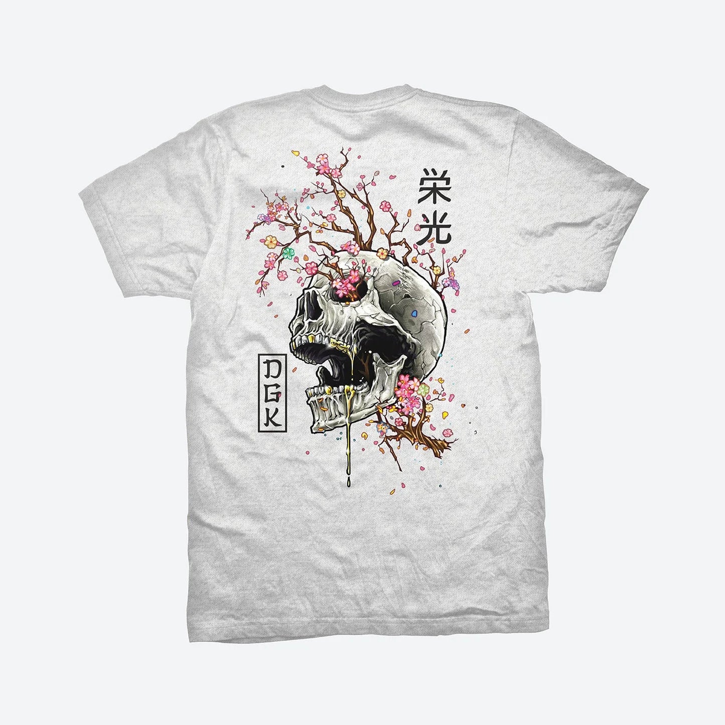 DGK Ancestry Graphic T-shirt - Heather Grey