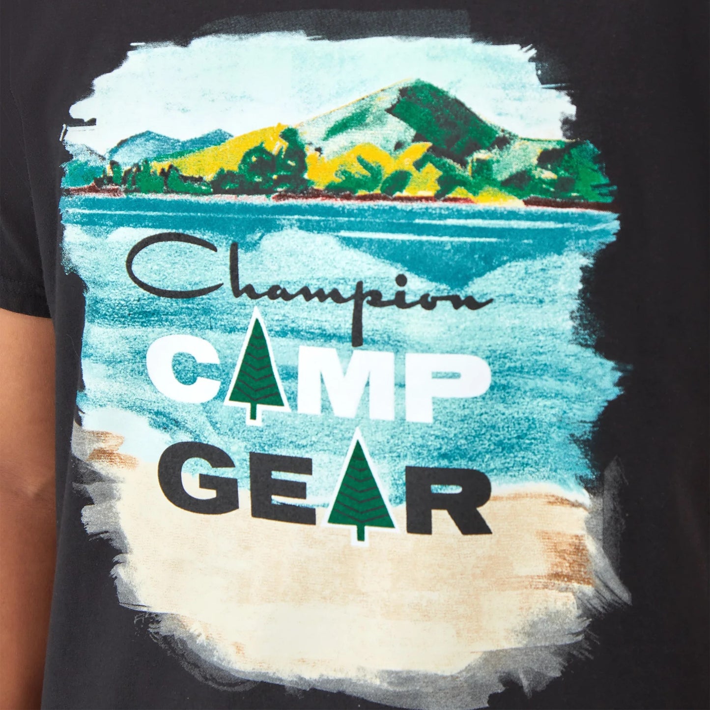 CHAMPION Vintage Wash Camp Gear Classic Graphic T-Shirt