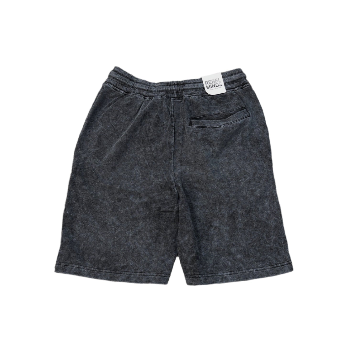 REBEL MINDS Interpretation Shorts