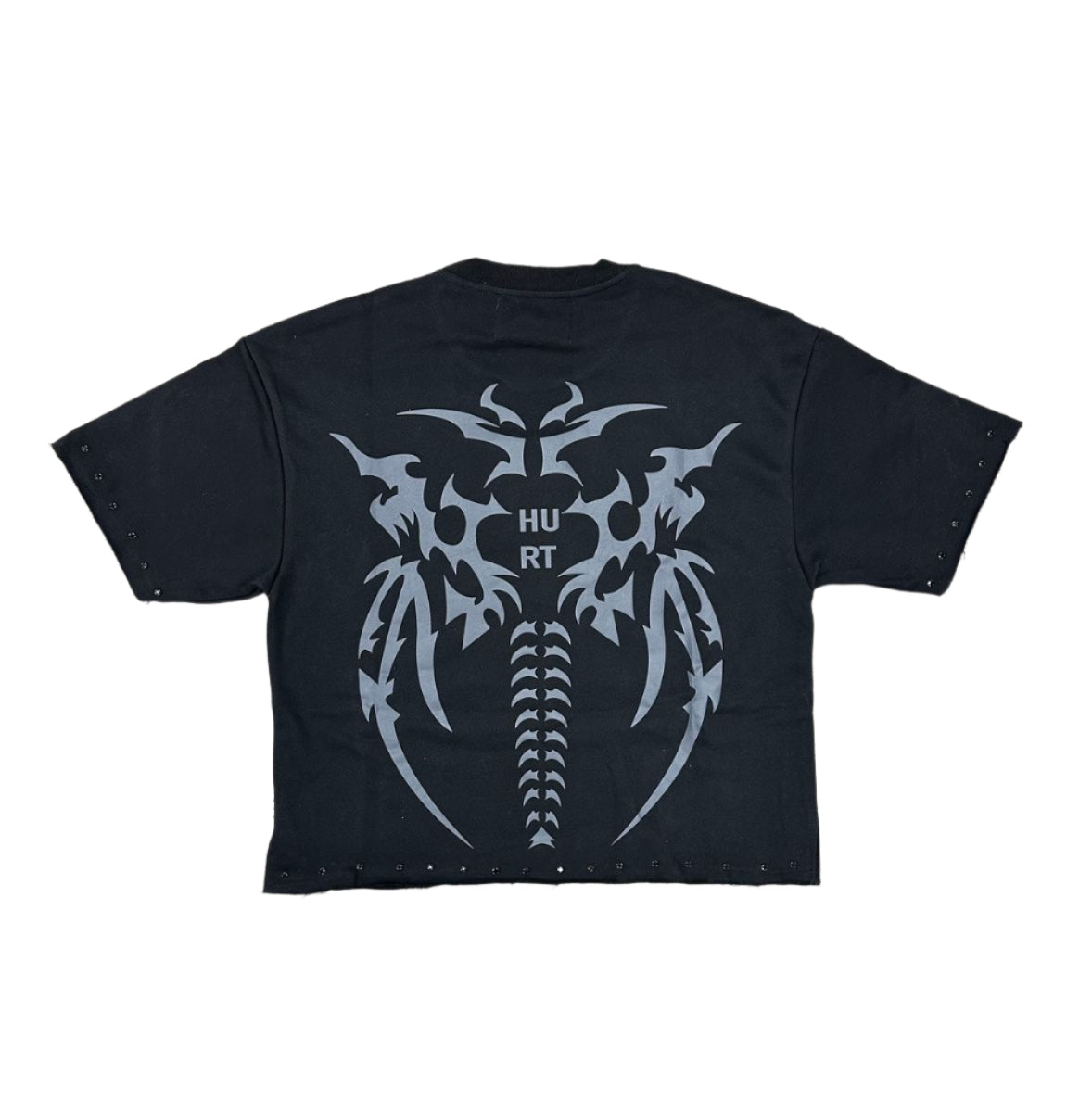 BKYS Hurt F-Terry Cropped T-shirt