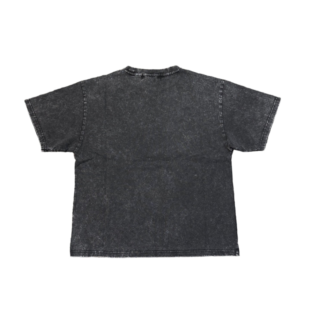 MAJESTIK Tarantula Garment Dyed Print Crop Tee