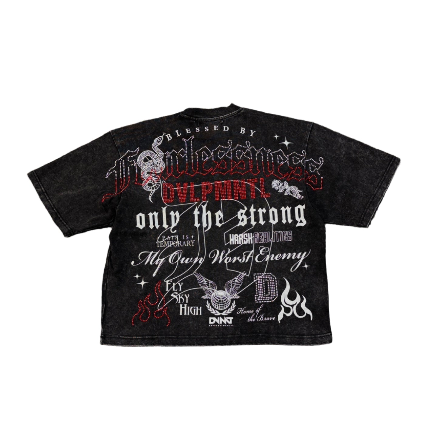 R3BEL Fearlessness Graphic Crop Tee