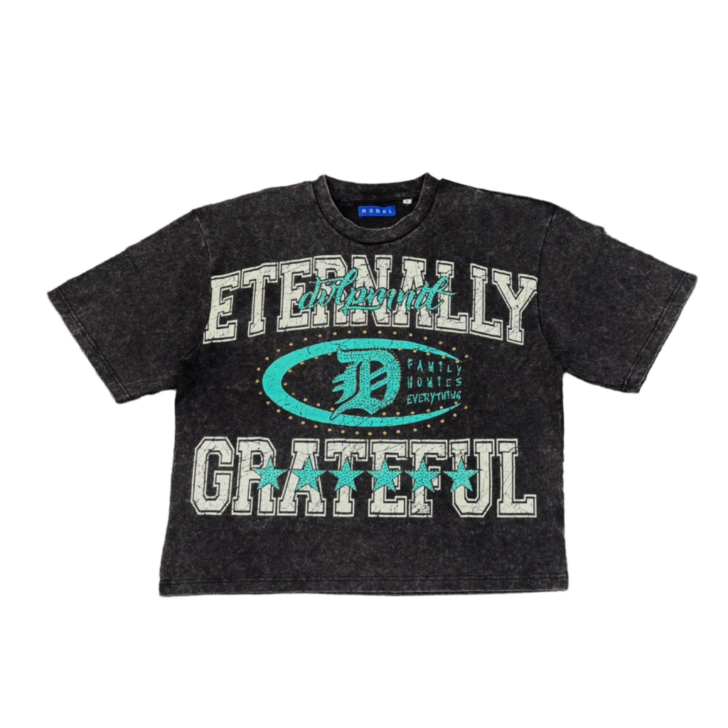 R3BEL Eternally Grateful Graphic Crop Tee