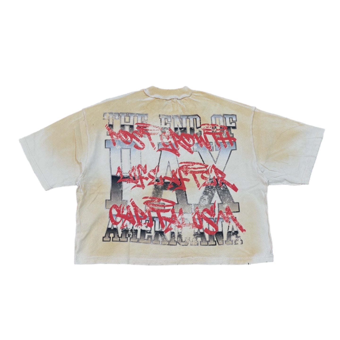 RARE PEACE Trust No One Graphic Crop Tee