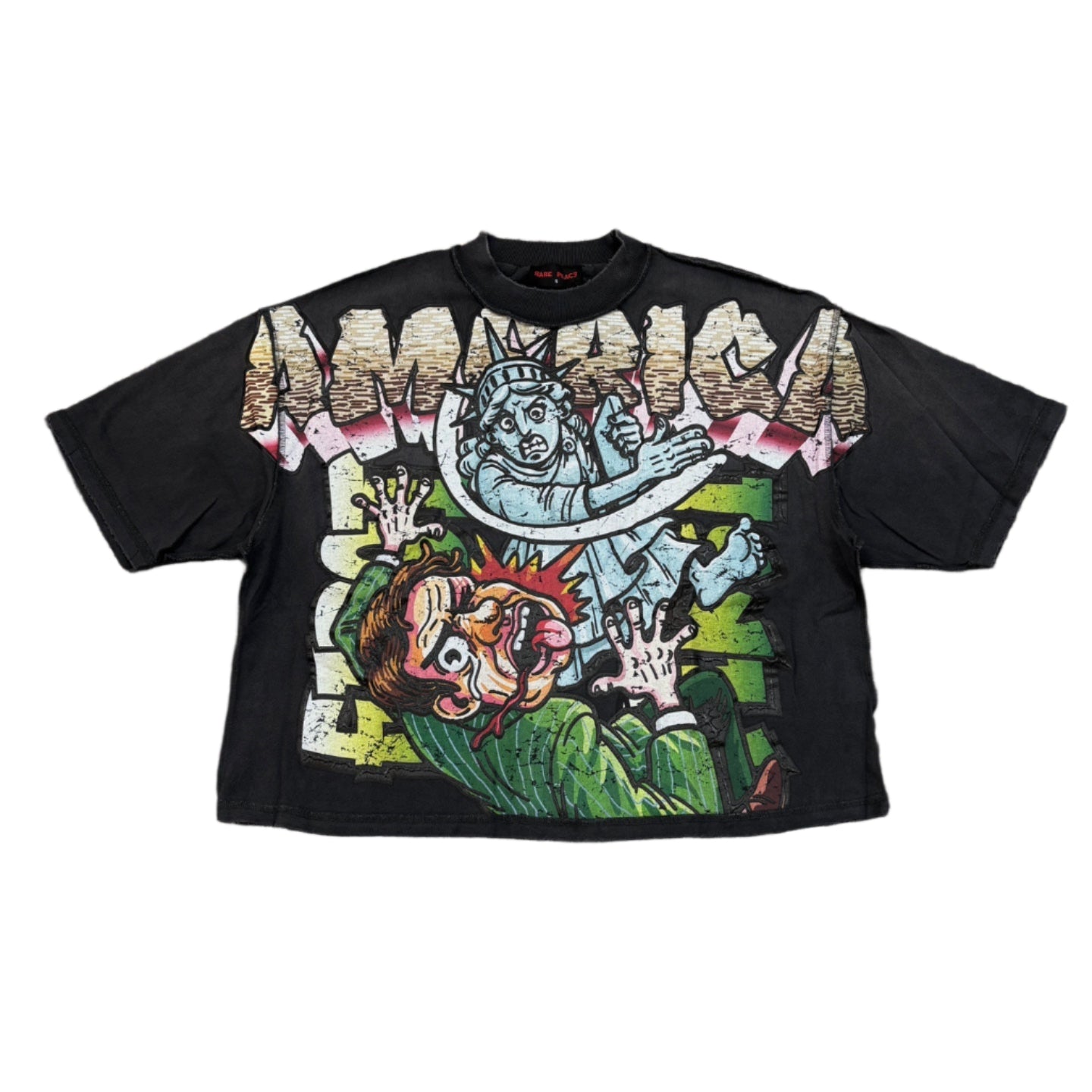 RARE PEACE America Graphic Crop Tee