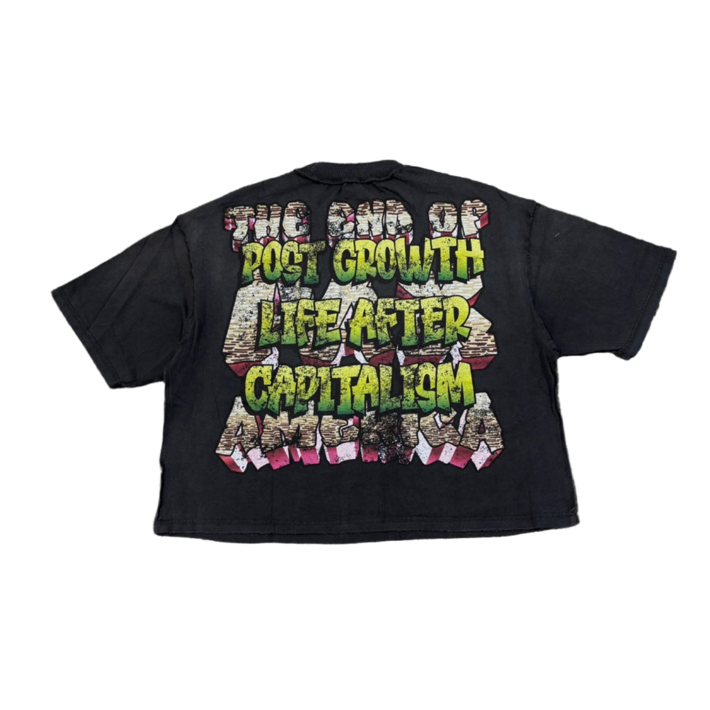 RARE PEACE America Graphic Crop Tee