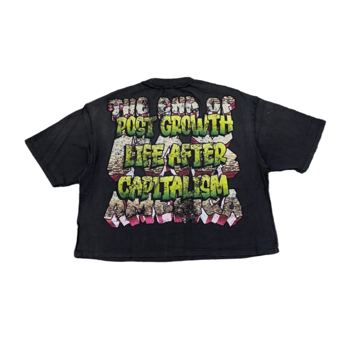 RARE PEACE America Graphic Crop Tee