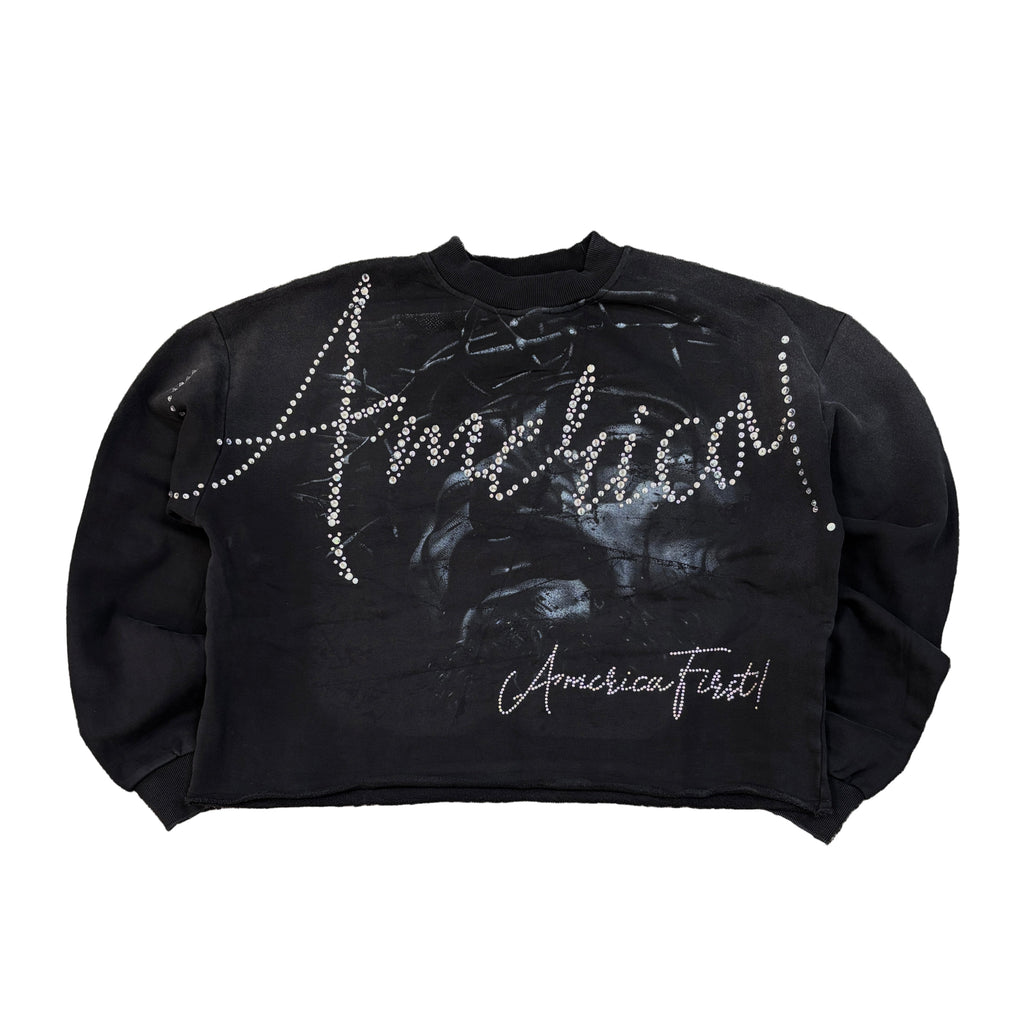 RARE PEACE America Graphic Crop Crew Fleece