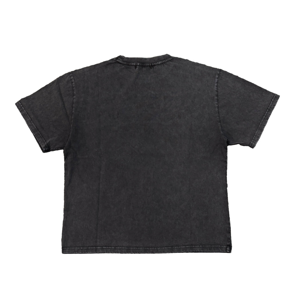 MAJESTIK Lion Football Graphic Crop Tee