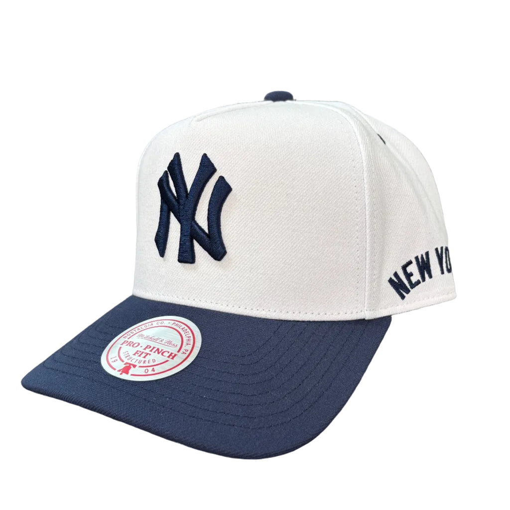 Mitchell & Ness MLB New York Yankees Legendary Home Pro Crown Snapback Hat