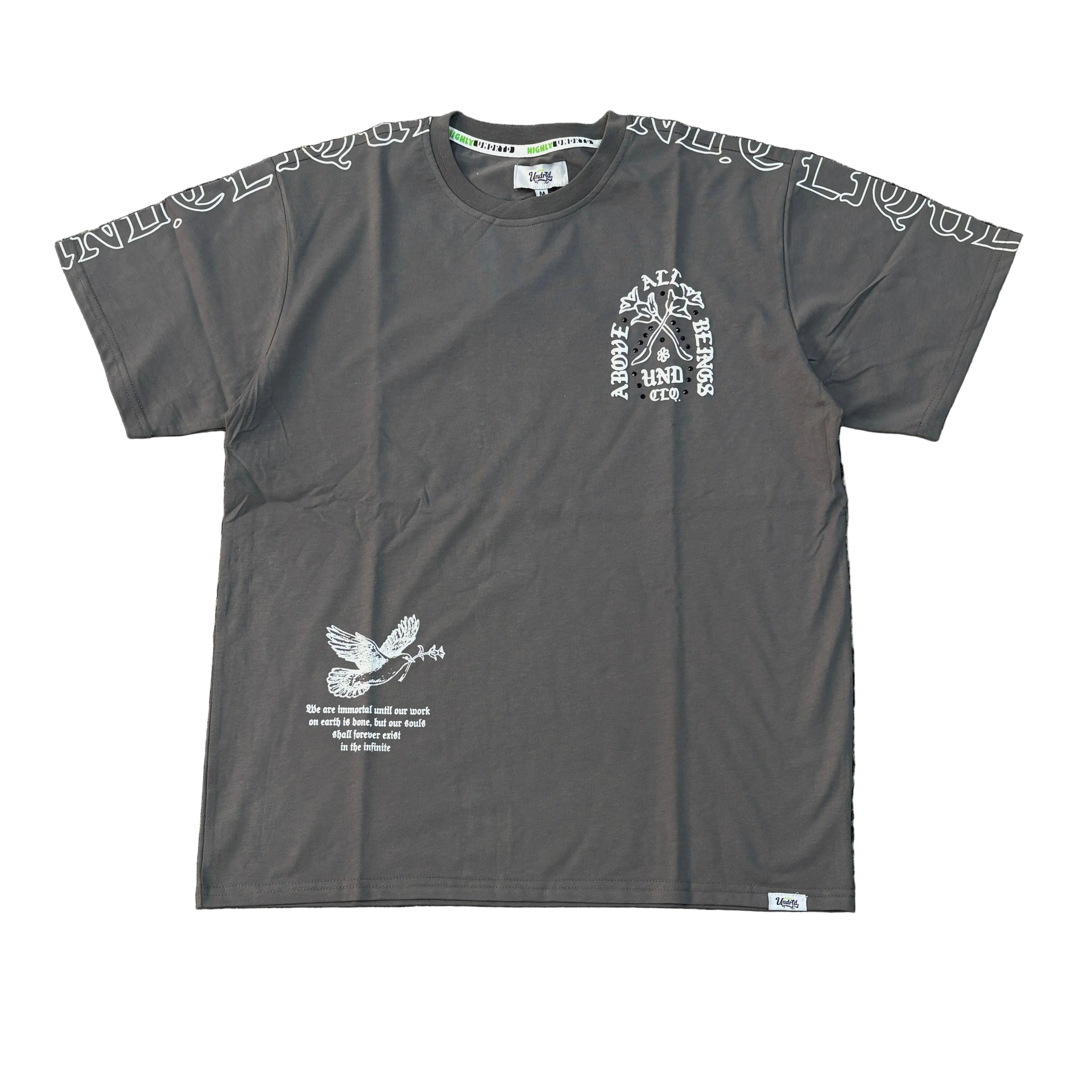 HIGHLY UNDRTD Above All Beings Graphic Tee