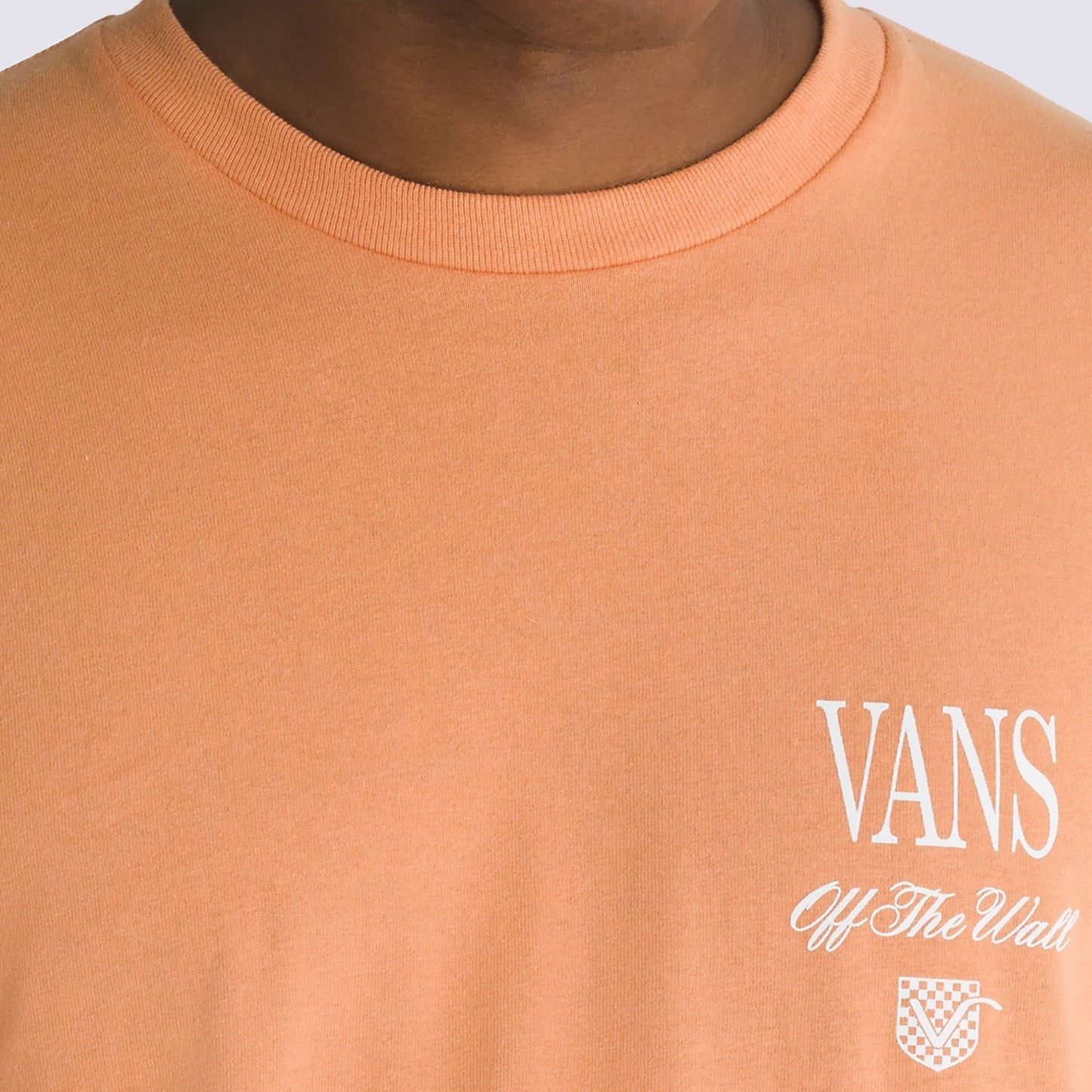 VANS Holmdel Graphic T-Shirt