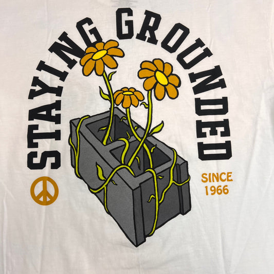 VANS Staying Grounded T-Shirt