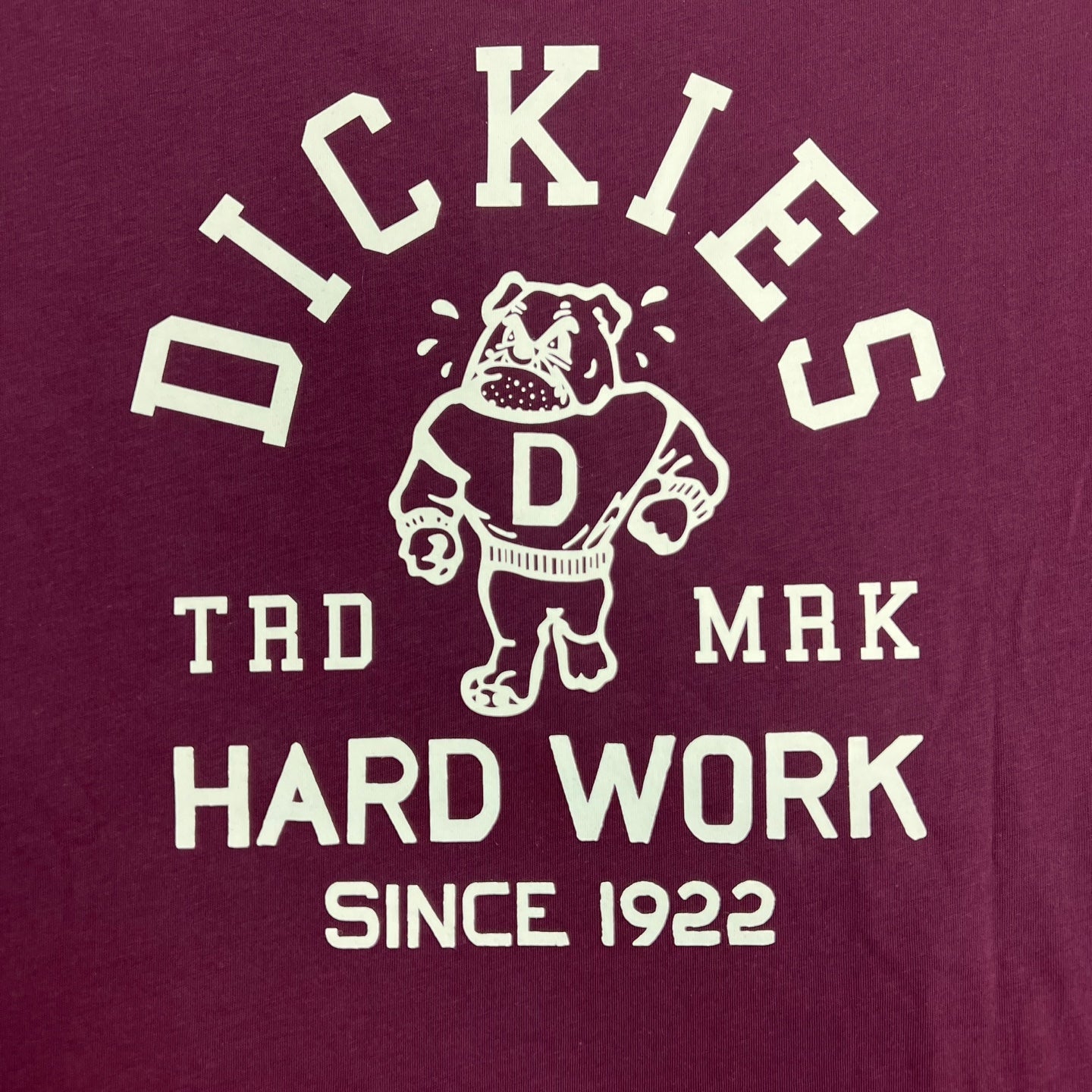 Dickies Cleveland Short Sleeve Graphic T-Shirt