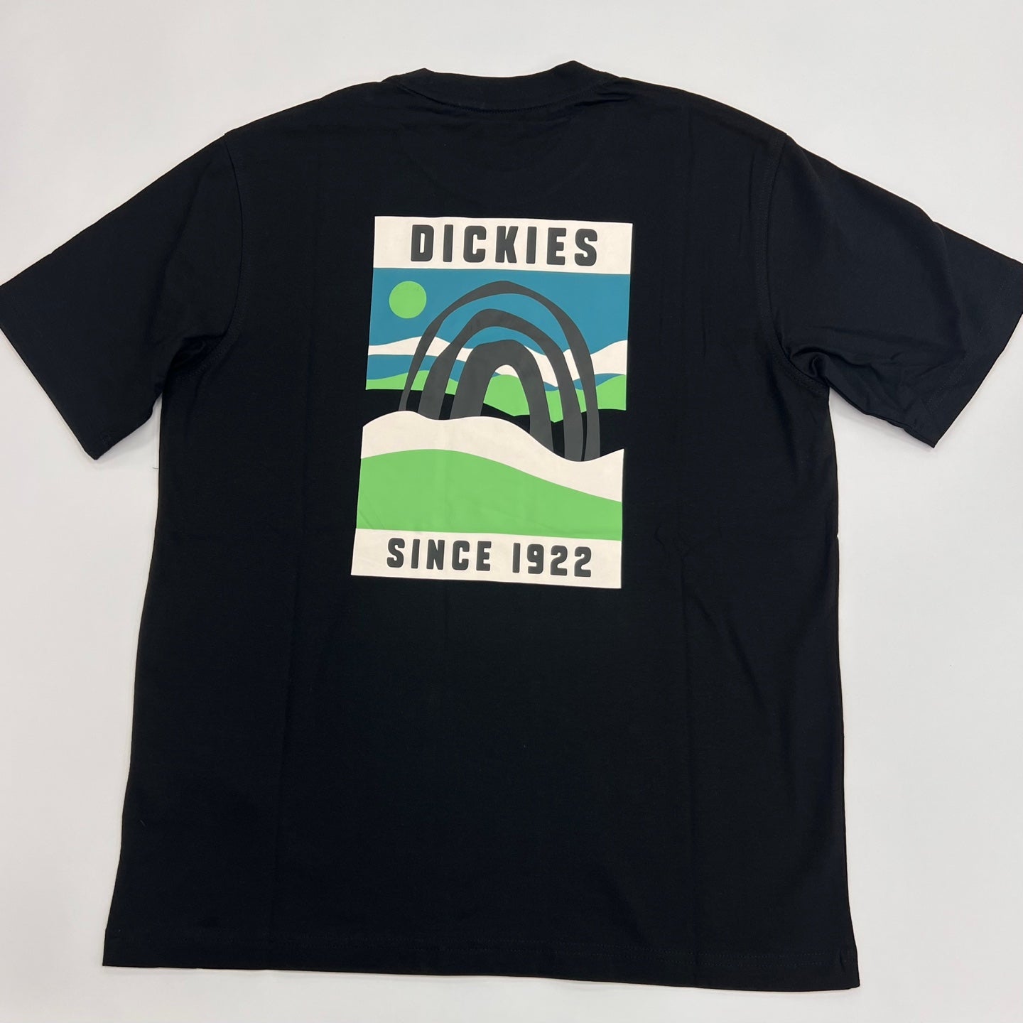 Dickies Baker City Graphic Print T-Shirt