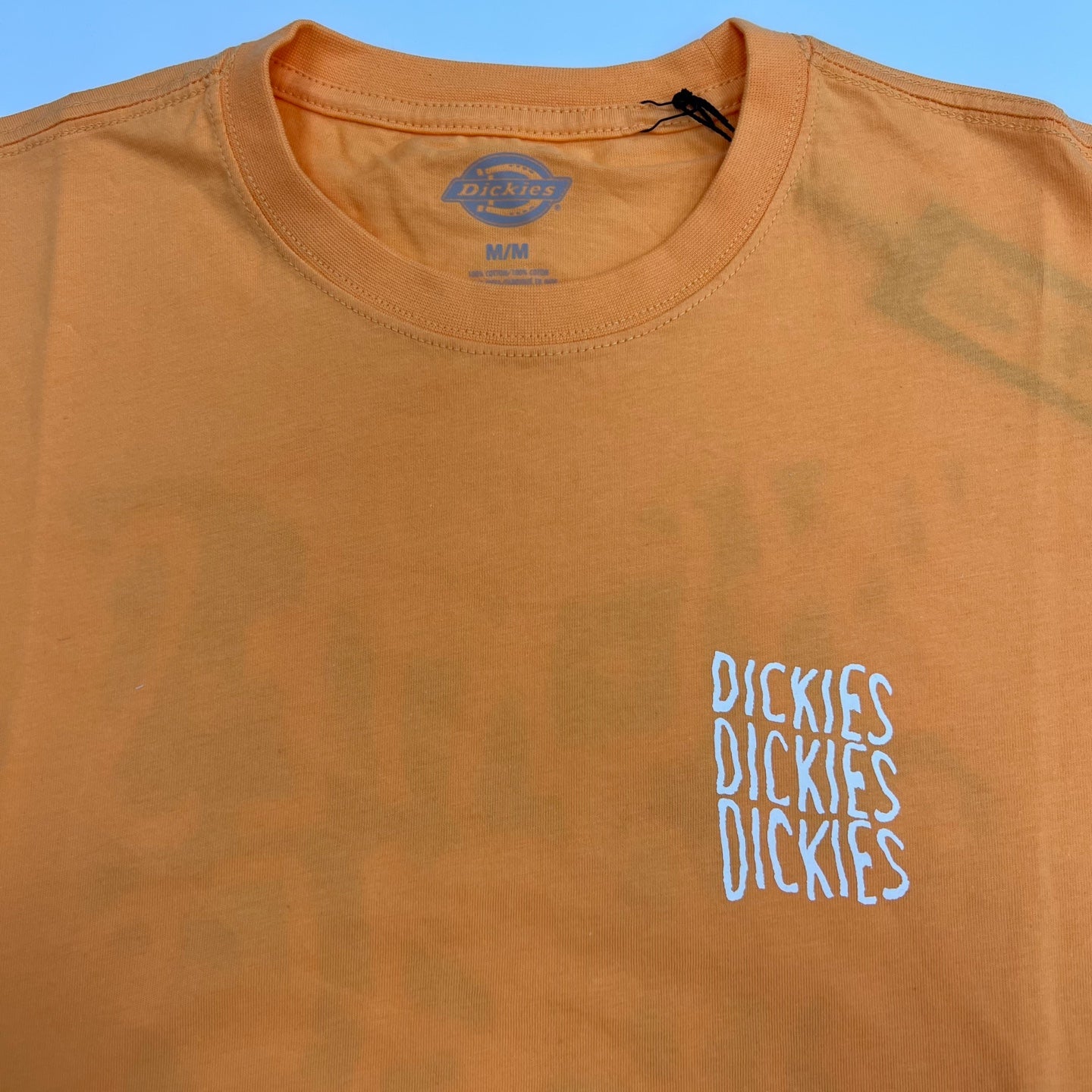 Dickies Cresswell Logo Graphic T-Shirt