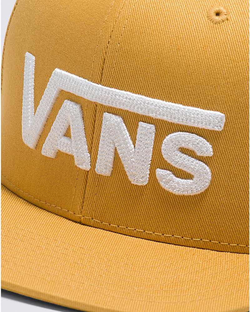 VANS Drop V Snapback Hat